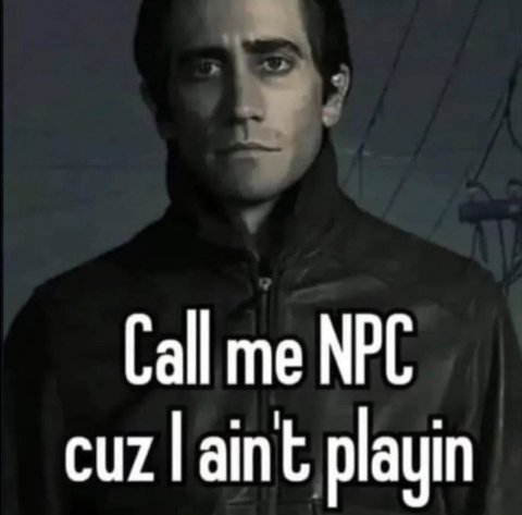 Call me NPC playin