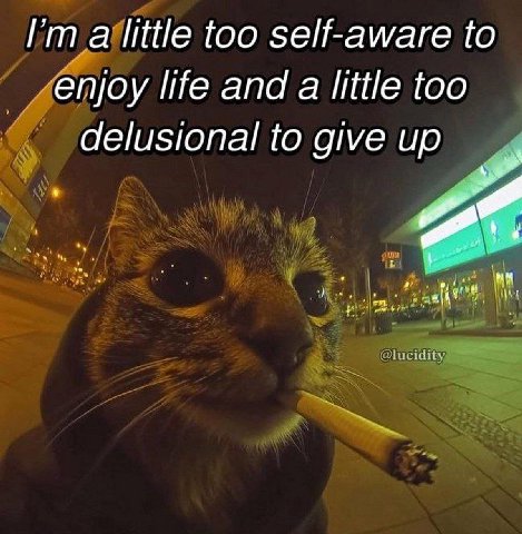 I'm_a little too self-aware to life and a little too delusional to give up lit