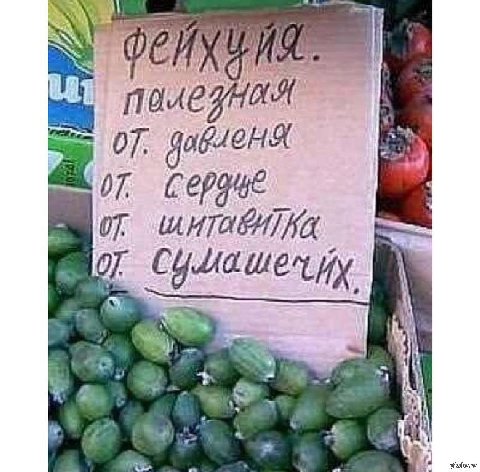 A ОТ. #9 Сер OF и