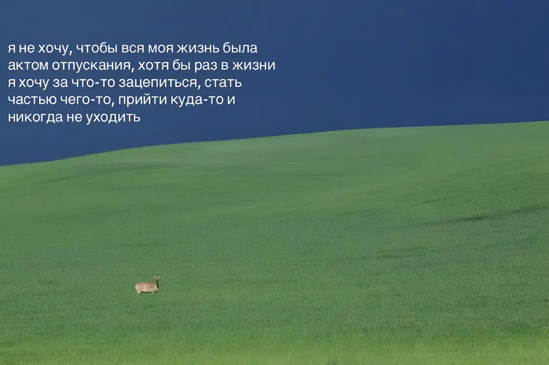 я не хочу, чтобы вся моя жизнь была актом отпускания, хотя бы раз в жизни я хочу за что-то зацепиться, стать частью чего-то, прийти куда-то и никогда не уходить