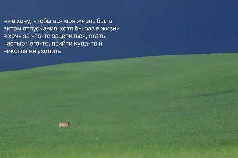 я не хочу, чтобы вся моя жизнь была актом отпускания, хотя бы раз в жизни я хочу за что-то зацепиться, стать частью чего-то, прийти куда-то и никогда не уходить