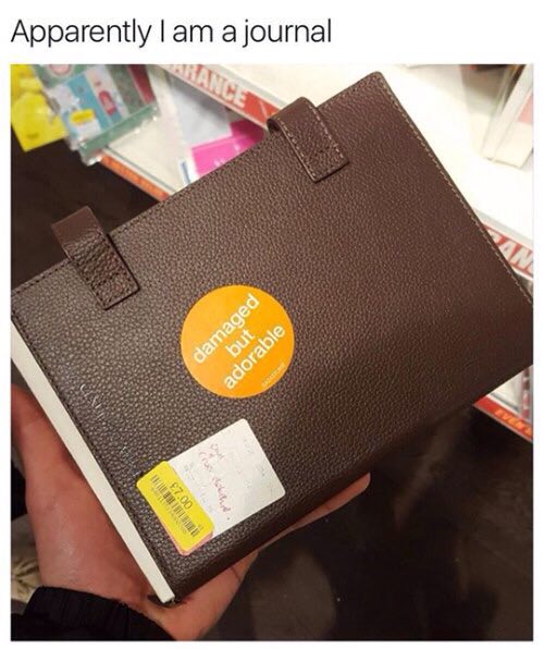 Apparently a journal