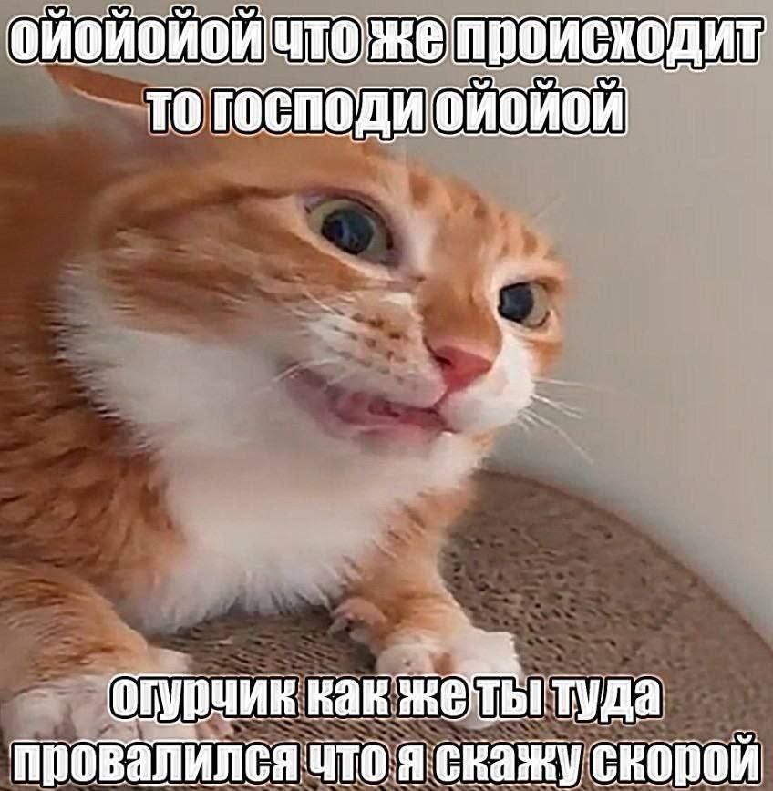 происходит TO как жеты туда скажу скорой