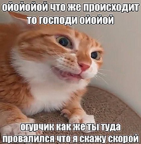 происходит TO как жеты туда скажу скорой