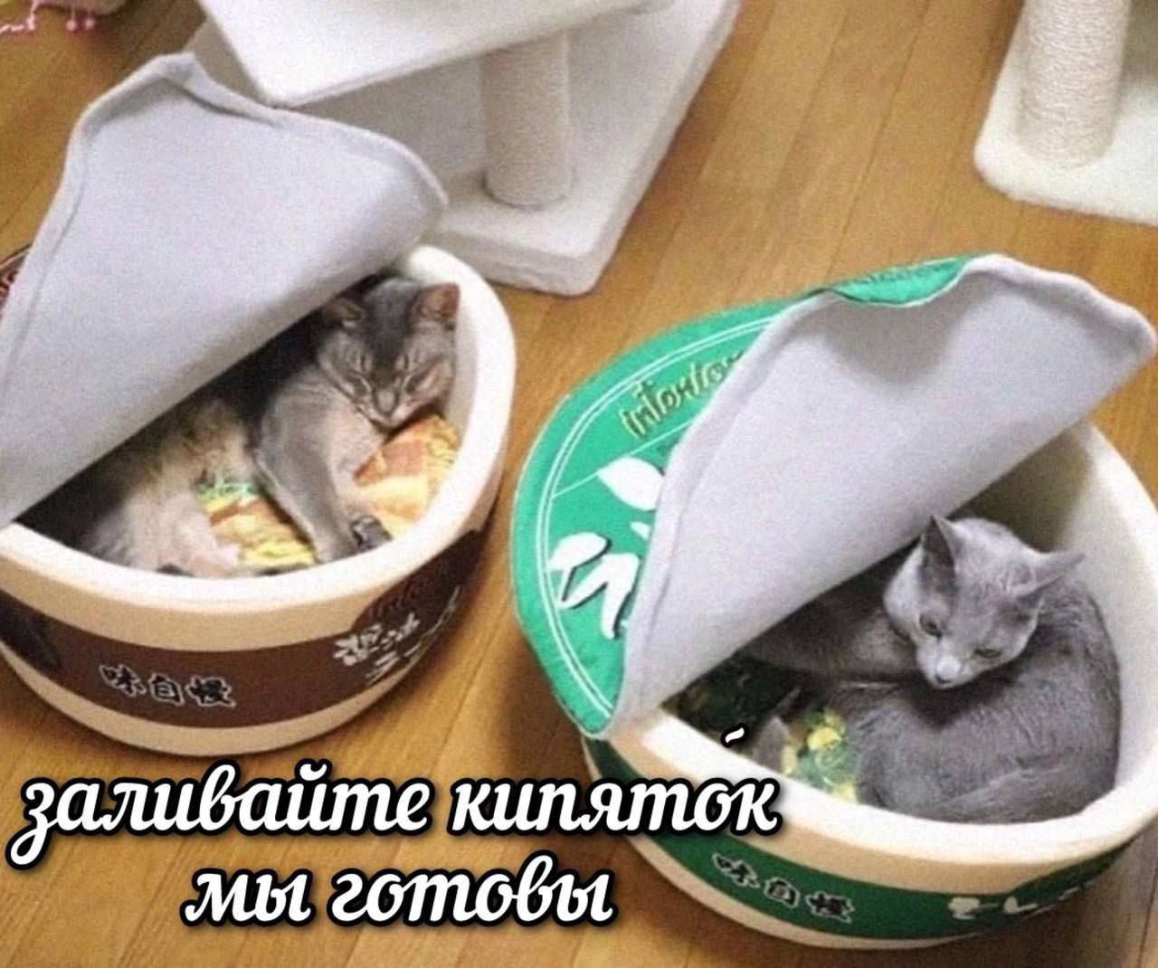 и a if 4 4 janubaume кипяток