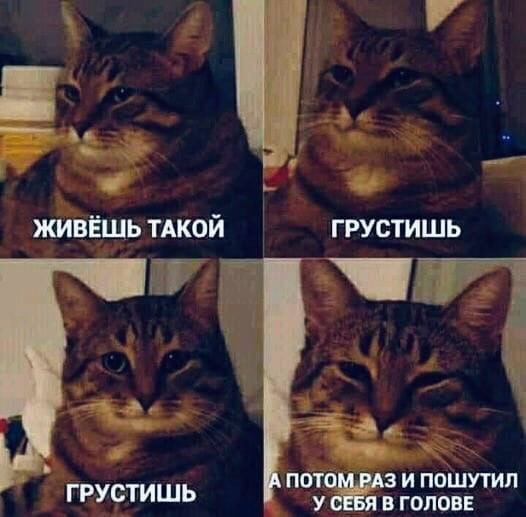 ЖИВЕШЬ ТАКОЙ ГРУСТИШЬ А ПОТОМ РАЗ И ПОШУТИЛ ГРУСТИШЬ У СЕБЯ В ГОЛОВЕ