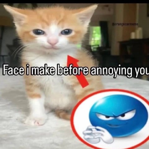 Face fore annoying