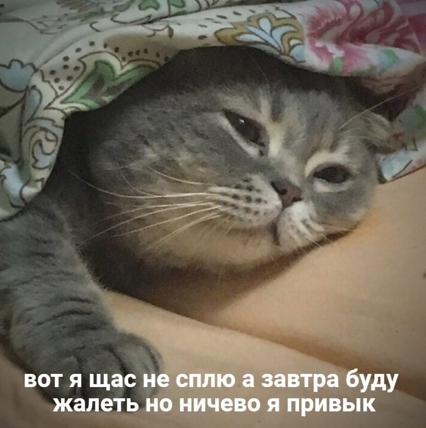 BOT я щас не сплю а завтра буду жалеть но ничево я привык