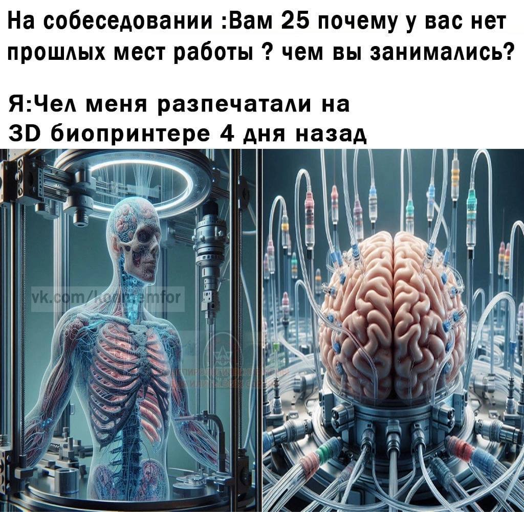На собеседовании :Вам 25 почему у вас нет прошлых мест работы чем вы занимались? Я:Чел меня разпечатали на биопринтере 4 дня назад у у if 1 К 7 А у