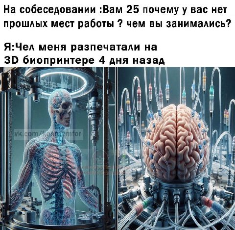 На собеседовании :Вам 25 почему у вас нет прошлых мест работы чем вы занимались? Я:Чел меня разпечатали на биопринтере 4 дня назад у у if 1 К 7 А у