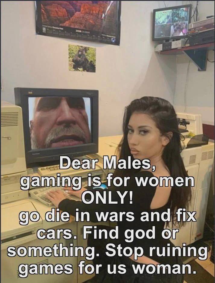 Dear Males, gaming is for women ONLY! die in wars and fix cars. Find god or something. Stop ruining games for woman