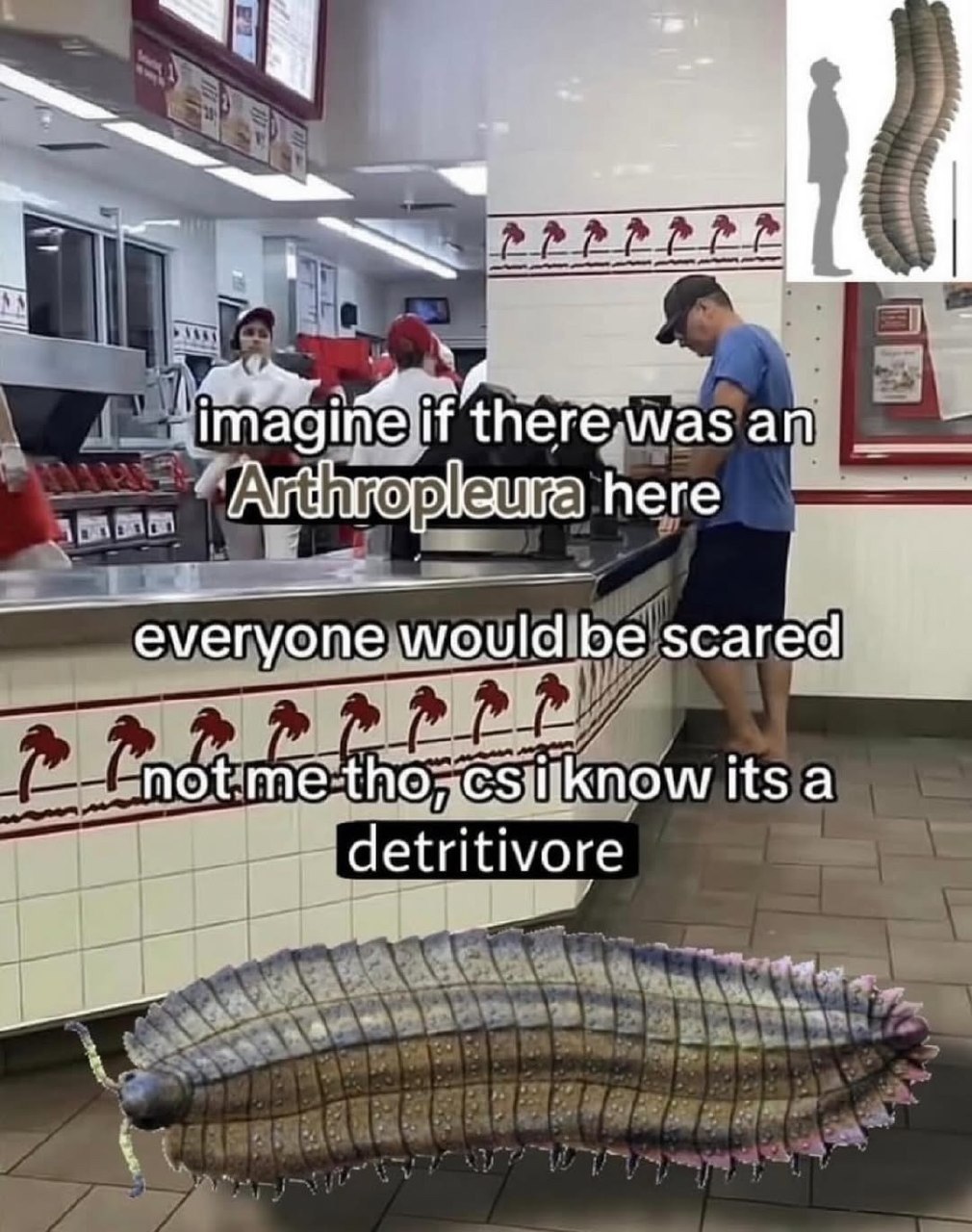 у imagine if everyone would be scared its a detritivore