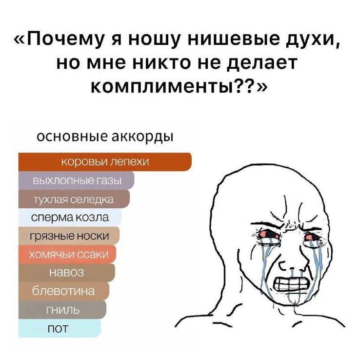 Почему я ношу нишевые духи, но мне никто не делает основные аккорды коровьи лепехи выхлопные газы тухлая селедка прязные носки хомячьи ссаки навоз блевотина not