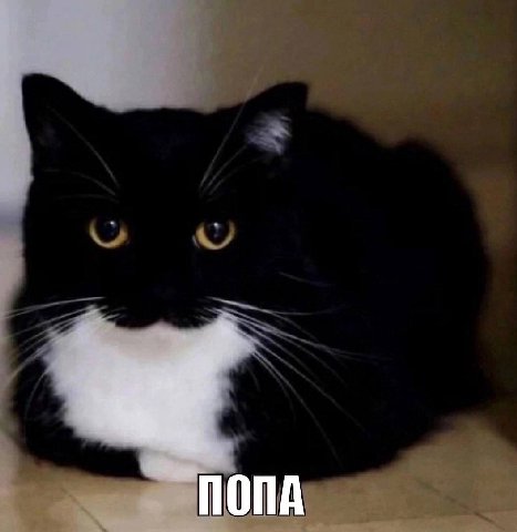 ПОПА