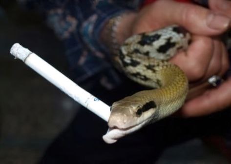 А