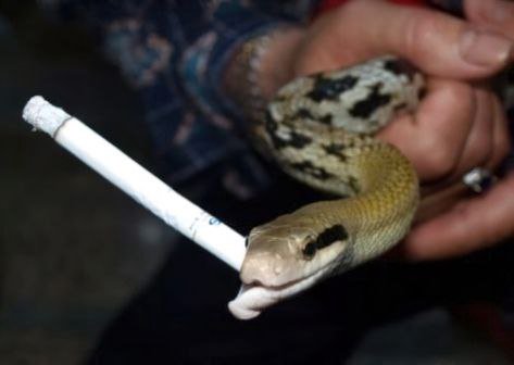 А