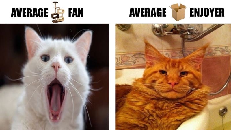 AVERAGE FAR AVERAGE