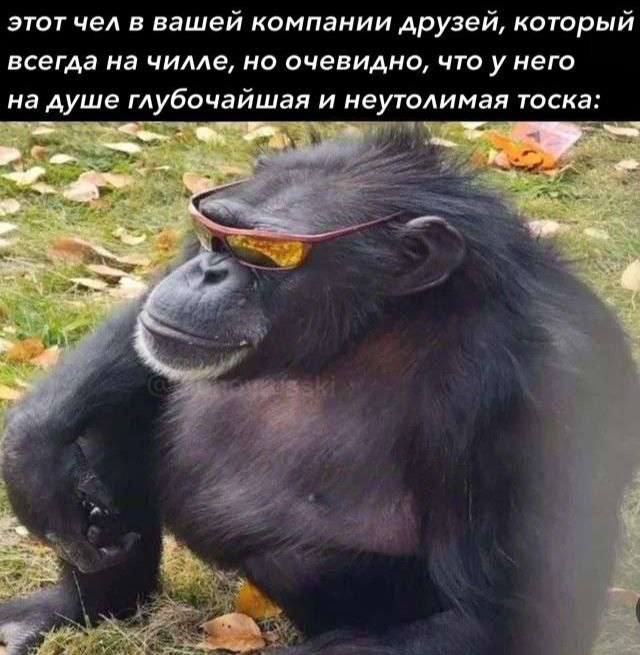 этот чел в вашей компании друзей, который всегда на чилле, но очевидно, что у него на душе глубочайшая и неутолимая тоска: awe be у 4 4 7