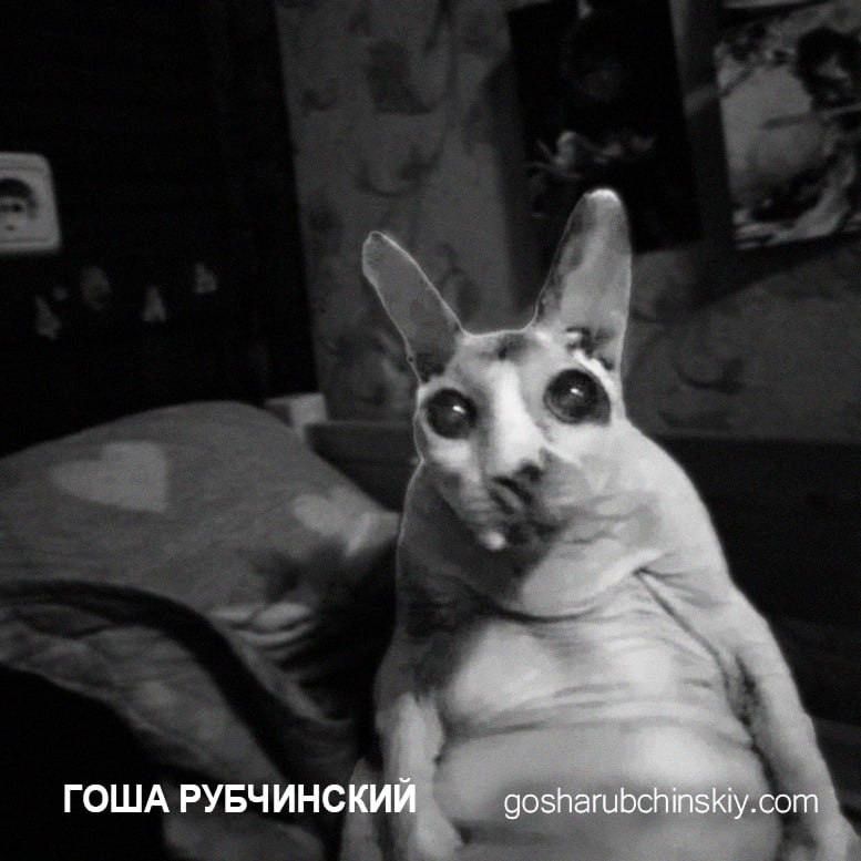 ГОША РУБЧИНСКИИ gosharubchinskiy.com