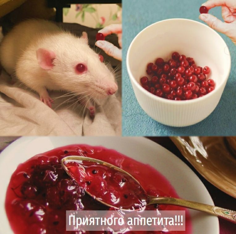 Приятного аппетита!!! а