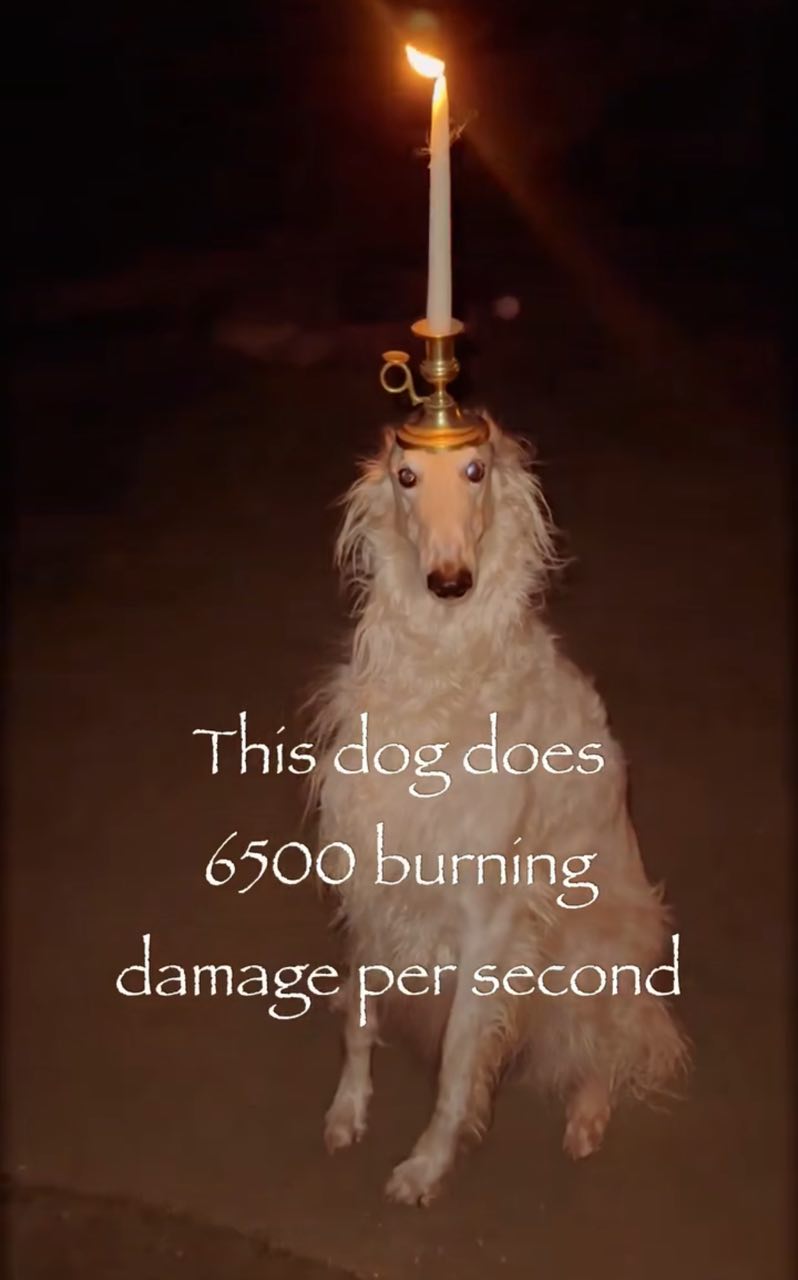 This dog does 6500 burning damage per second