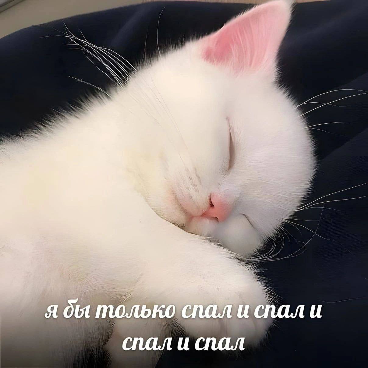 7 я спал и спал