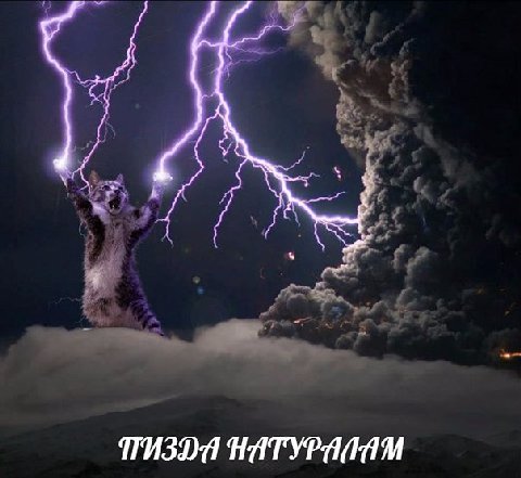 пизда натуралам