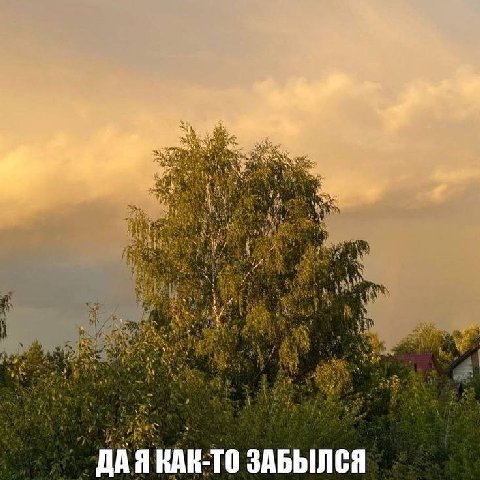 ДАЯ КАК-ТО ЗАБЫЛСЯ