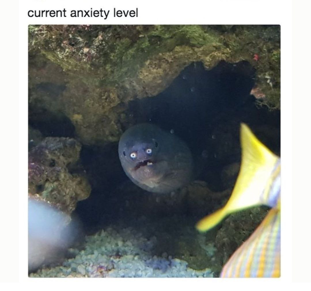 anxiety level