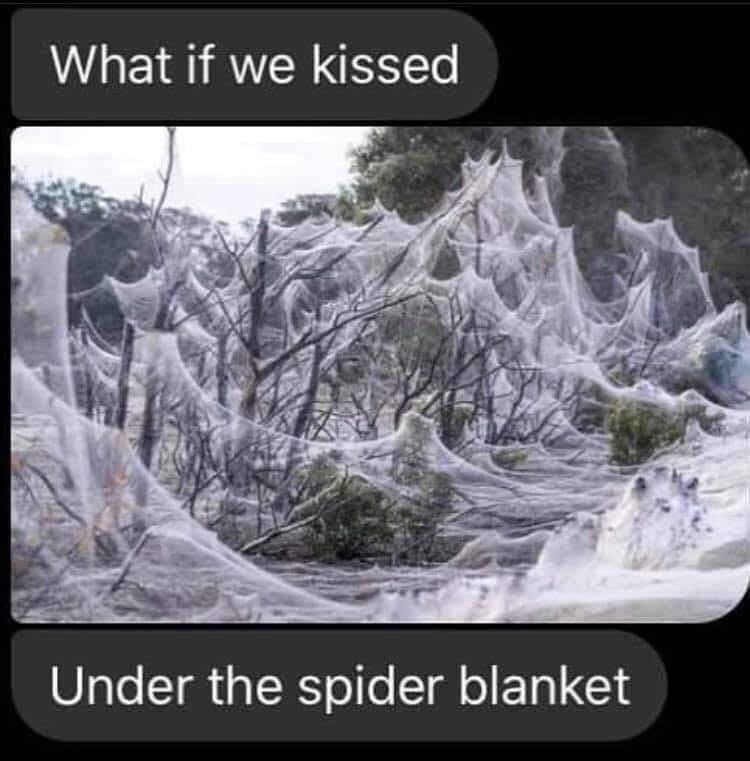 What if we kissed Under the spider blanket