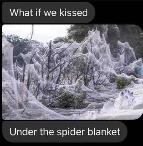 What if we kissed Under the spider blanket