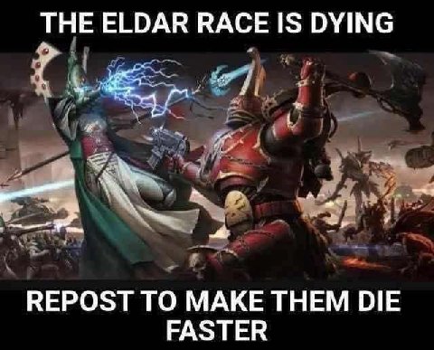ТНЕ ELDAR RACE IS DYING у REPOST TO MAKE THEM DIE FASTER
