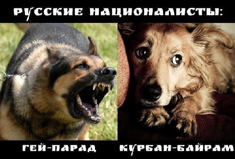 РУССКИЕ НАЦИОНАЛИСТЫ: a Я а у a ГЕЙ-ПАРАД КУРБАН-БАИРАМ