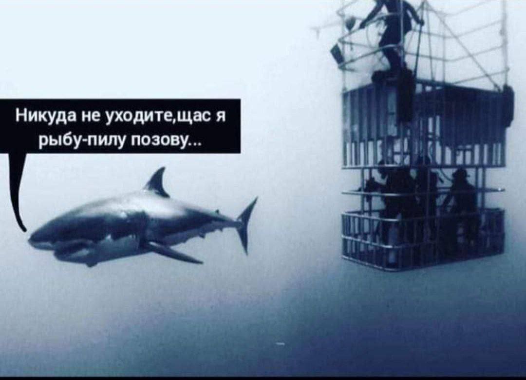 Никуда не уходите,щас я рыбу-пилу позову