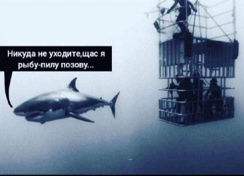 Никуда не уходите,щас я рыбу-пилу позову