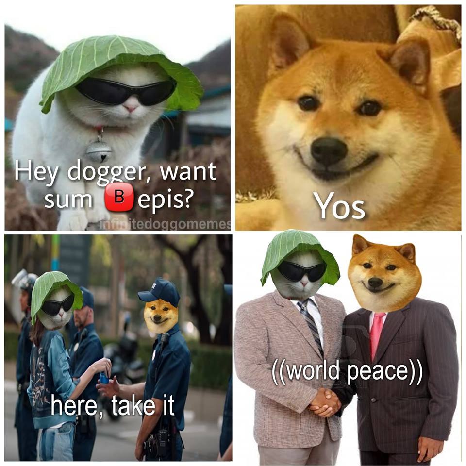 Неу dogger, want epis? Yos А ((world peace)) here, take it