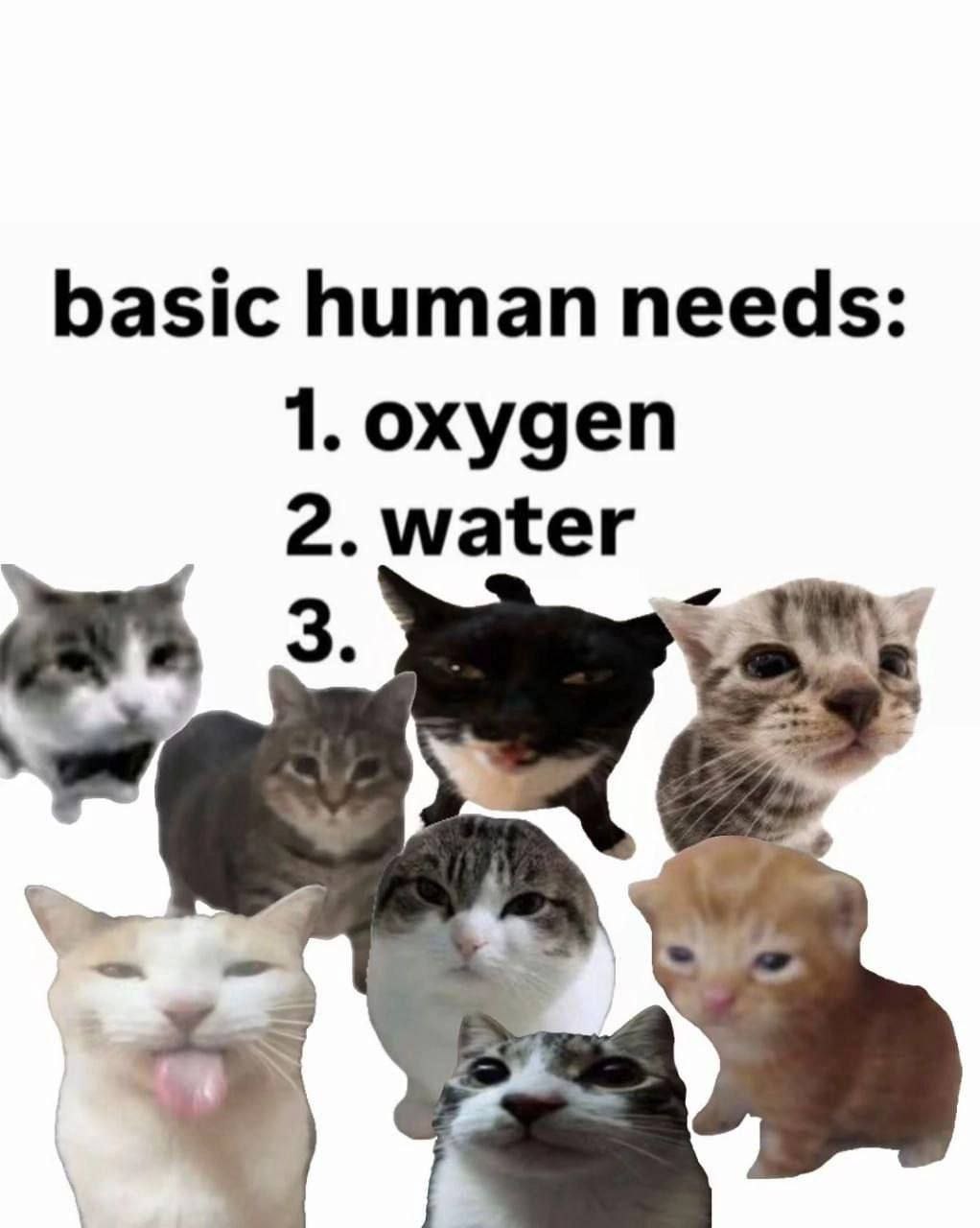 basic human needs: 1. oxygen 2.