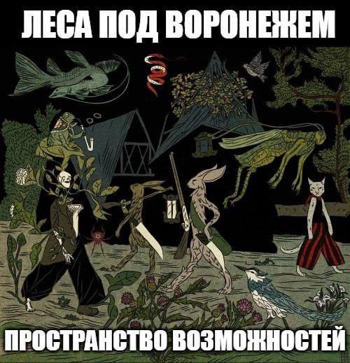 ЛЕСА ПОД 4 ПРОСТРАНСТВО ВОЗМОЖНОСТЕЙ