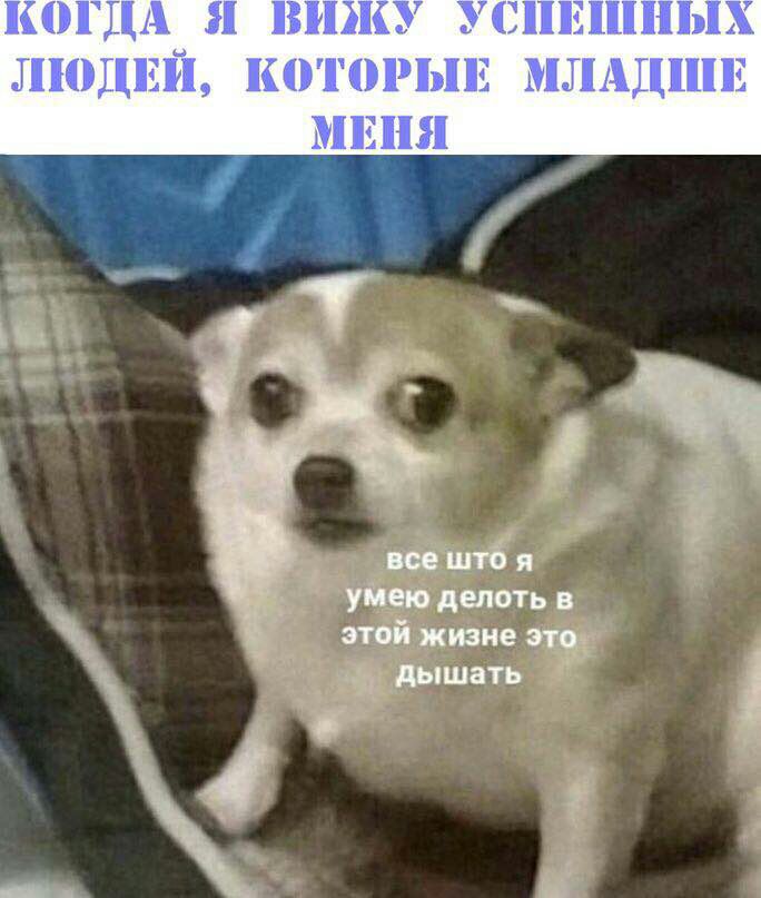 КОГДА Я ВИЖУ ЛЮДЕЙ, КОТОРЫЕ УЛАДШЕ MEHA все што я умею делоть в этой жизне это. дышать