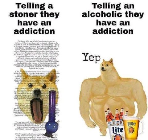 Telling а Telling stoner they alcoholic they have an have an addiction addiction The 2 of ait The the (OF with OF 2 of cont the of leut cob Yep abs anal the the of к mae for The tee Arran lite Cotes t