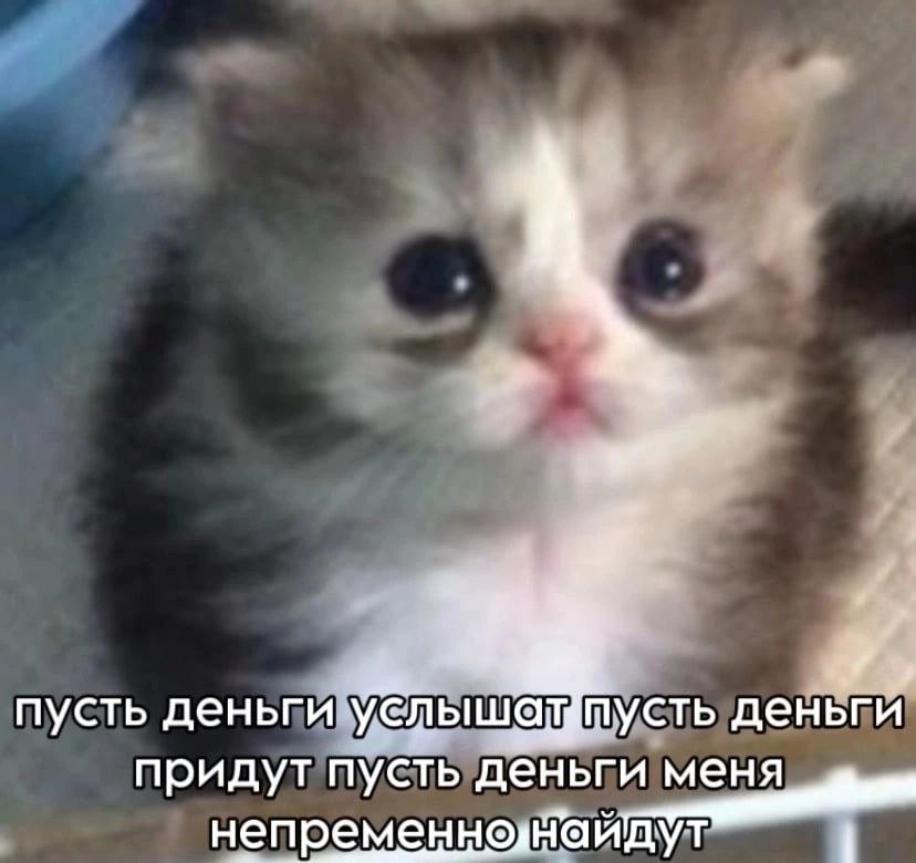 пусть деньги услышаттусть деньги и меня придут пусть деньг непременнелтайдут