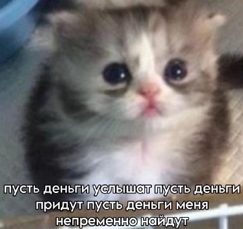 пусть деньги услышаттусть деньги и меня придут пусть деньг непременнелтайдут