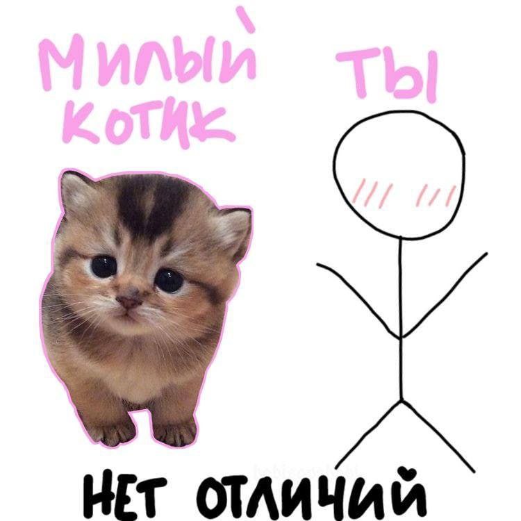 у HiT отличий