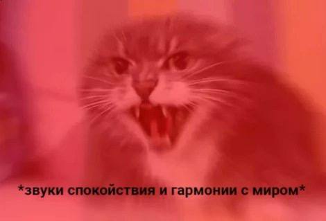 звуки гармонии с миром