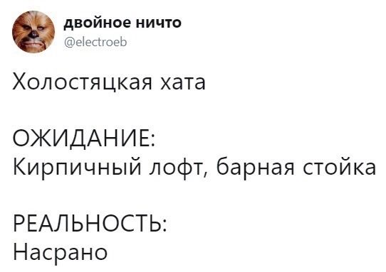 двойное ничто @electroeb Холостяцкая хата ОЖИДАНИЕ: Кирпичный лофт, барная стойка РЕАЛЬНОСТЬ: Насрано