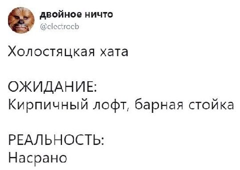 двойное ничто @electroeb Холостяцкая хата ОЖИДАНИЕ: Кирпичный лофт, барная стойка РЕАЛЬНОСТЬ: Насрано