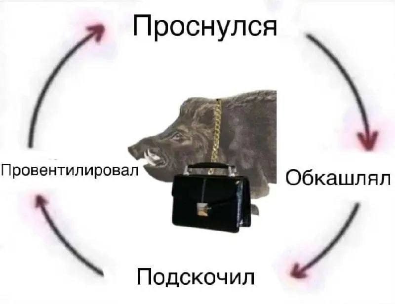 Проснулся Провентилировал Обкашлял Подскочил