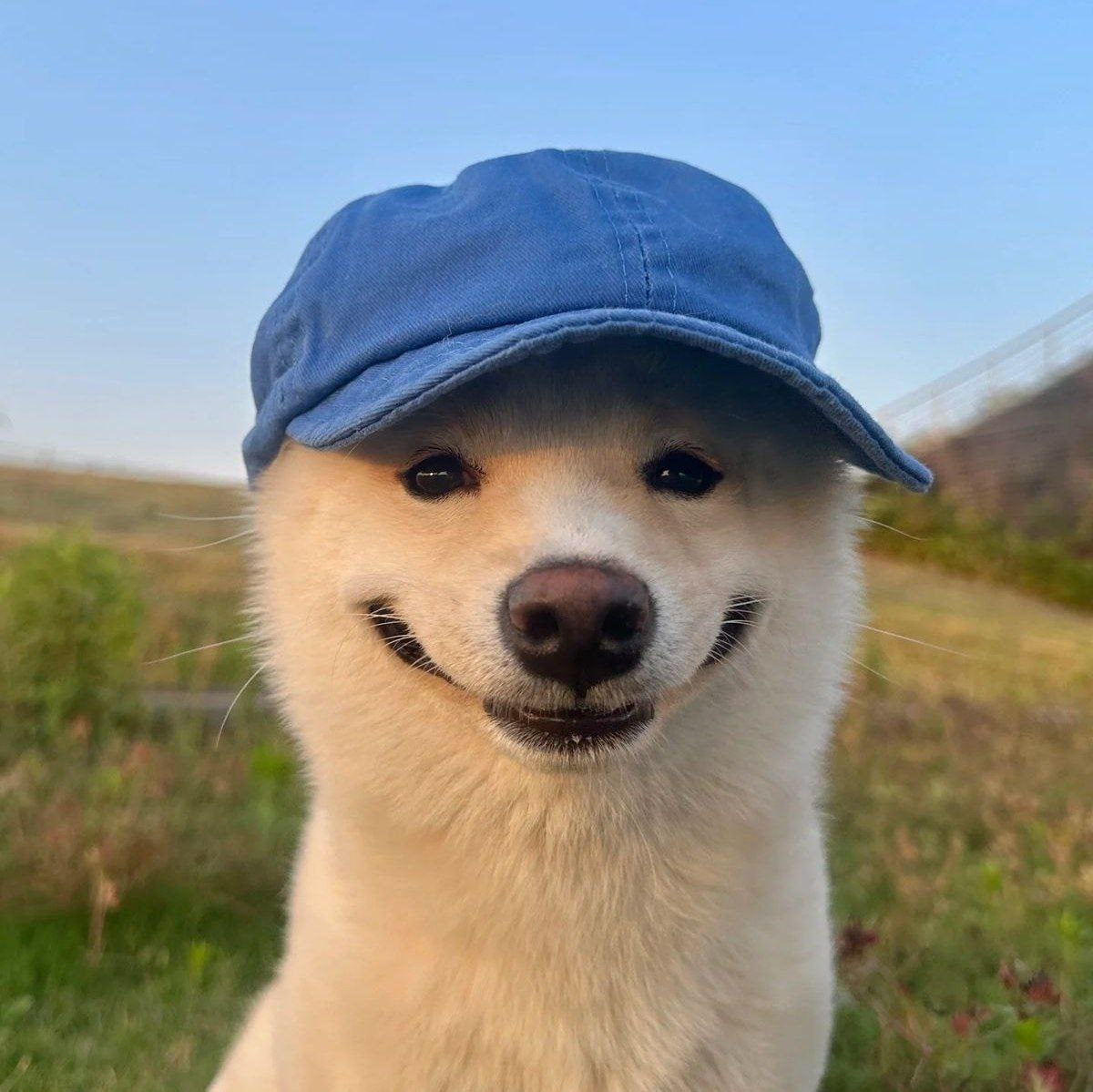 Гм