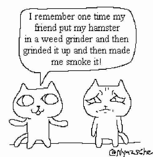 one time my friend put my hamster in а grinder and then it up and then made me smoke it! at, he.