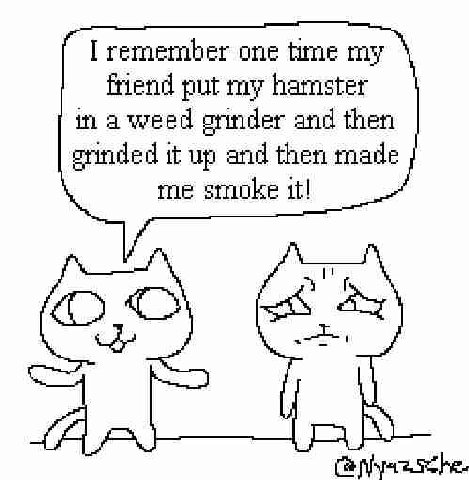 one time my friend put my hamster in а grinder and then it up and then made me smoke it! at, he.